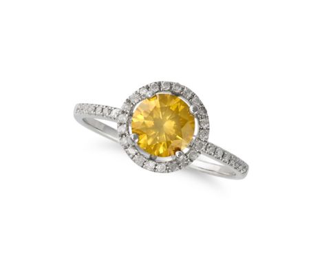 A YELLOW DIAMOND HALO RING in 14ct white gold, set to the centre with a round brilliant cut treated yellow diamond of approxi