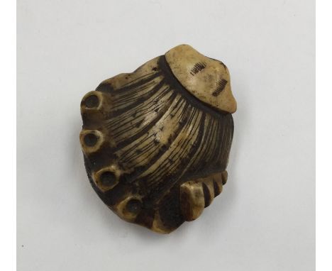 A Japanese Meiji period carved bone netsuke of a clam, length 5 cm.