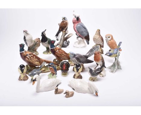 A group of models of birds, comprising Beswick birds: a Lesser Spotted Woodpecker, a Thrush, a Lapwing, a small owl and a coc