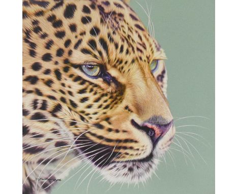 Darryn Eggleton (b.1981) South African"Game Face"Signed and numbered 129/195, giclee print on canvas, 36cm by 36cmSold togeth