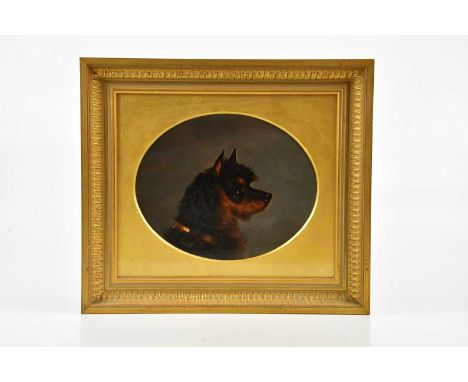 ENGLISH SCHOOL; 19th century oil on panel, side profile portrait of a dog, unsigned, 16 x 20cm, framed and glazed.Condition R