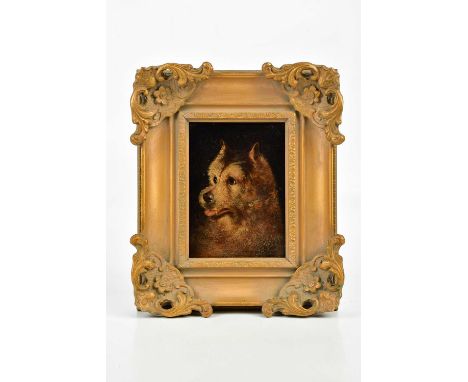 ENGLISH SCHOOL; 19th century oil on panel, portrait of a dog, unsigned, 18 x 13cm, framed.