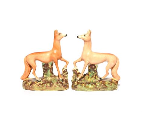A pair of Staffordshire flatback figures of foxes, 19th century, modelled with ears erect and one forepaw lifted to rest on a