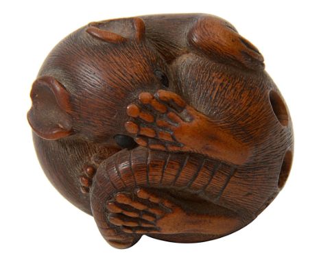 A 19th century Japanese Edo Period carved wood netsuke of a rat naturalistically carved tightly coil into a ball, it wrapped 