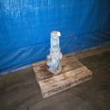 Feluwa centrifugal pump, cast iron, 2HP, model / serial number 101 418, 4 in. stainless steel