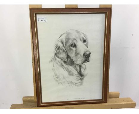 PRINT OF A DOG AND TWO OTHER PRINTS all framed and under glassthe doog 44cm x 34cm overall Qty: 3