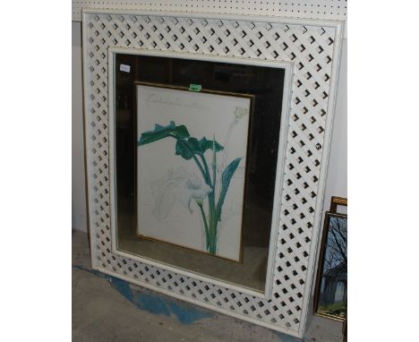 	A botanical print in mirrored and lattice frame