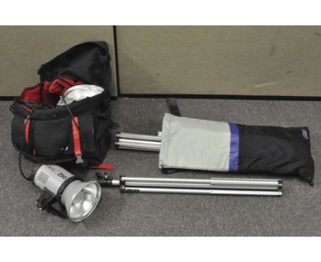 A Prolinica (Elinchrom) Studio Flash light photo set, including 2 x 250 w flash heads, 2 x standards - adjustable height, 2 x