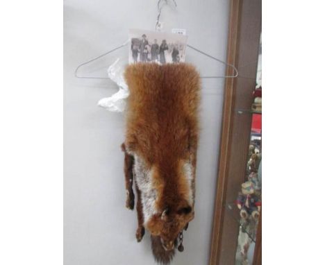 A vintage full fox stole with accompanying photocopy of lady wearing it at Lincolnshire seaside in 1950's