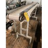 Tabletop Conveyor 8" wide x 8' Long. Rigging Fee: $100