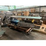 Stainless Covered Metal Detector Conveyor Belt (NO METAL DETECTOR) 24" x 12' L. Rigging Fee: $450
