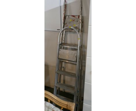 Two alloy step ladders