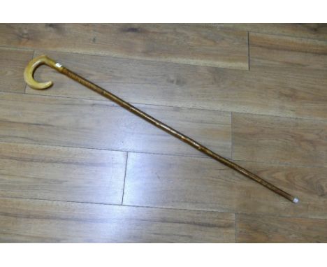 Horn topped walking stick