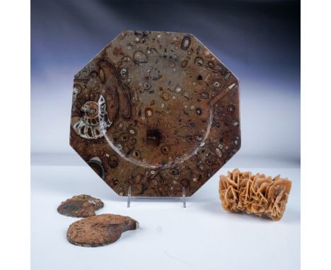 A fascinating 4 piece collection of fossils and mineral specimens, each showcasing the beauty and history of natural formatio