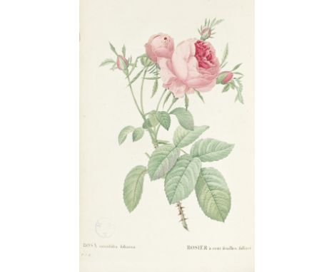 REDOUTÉ (PIERRE JOSEPH)Les roses.... avec le texte par C.A. Thorry, 40 parts bound in 4 vol.,  half-title, general title, 159