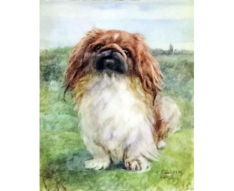 Felicity Campbell (1909-?) - Watercolour - Miniature portrait on ivory - "Grandcham", study of a sitting pekingese, 4ins x 3.