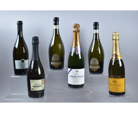 Six Bottles of Sparkling Wine, Mainly Prosecco 