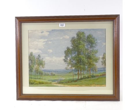 Owen Morgan, watercolour, landscape, signed, 15" x 19.5", framedVery light foxing 