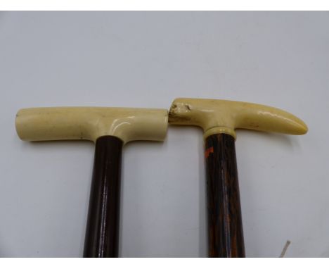 A LATE 19TH /EARLY 20TH CENTURY IVORY HANDLED WAKING STICK ON COROMANDEL SHAFT  TOGETHER WITH A SIMILAR EXAMPLE ON ROSEWOOD S