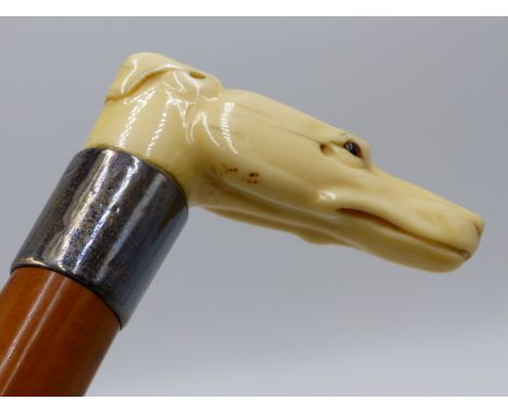 A GOOD 19TH CENTURY IVORY HANDLED WALKING STICK WITH WELL DETAILED DOG'S HEAD HANDLE, SILVER COLLAR WITH C.P. MONOGRAM AND DA