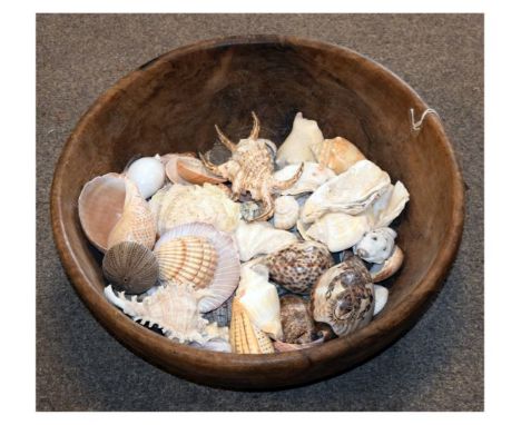 Treen dairy bowl/fruit bowl together with a selection of shells to include a cowrie shell carved with the Hindu elephant god 