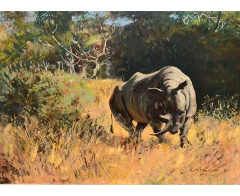 Keith Shackleton (1923-2015)  Black rhino in the bush Signed and dated (19)60, oil on board, 44cm by 60cm Some slight surface