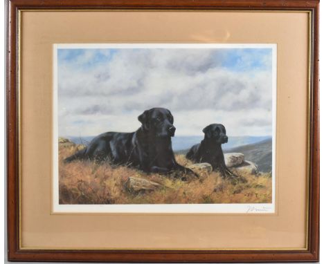 A Framed Limited Edition John Trickett Print, Signed by the Artist, no.123/850, 47x35cm 