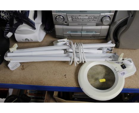 A natural light D/EN1020 magnifying light