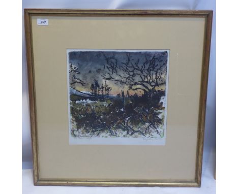A Tim Goulding singed lithograph