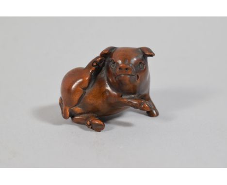 A Carved Wooden Netsuke in the Form of A Recumbent Portly Pig Scratching Ear, Signed 3cm high 