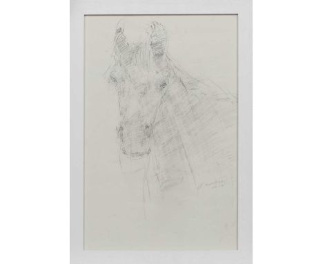 * JOYCE GUNN CAIRNS (SCOTTISH b. 1948),HORSE SKETCHpencil on paper, signed and dated 2017image size 41cm x 27cm, overall size