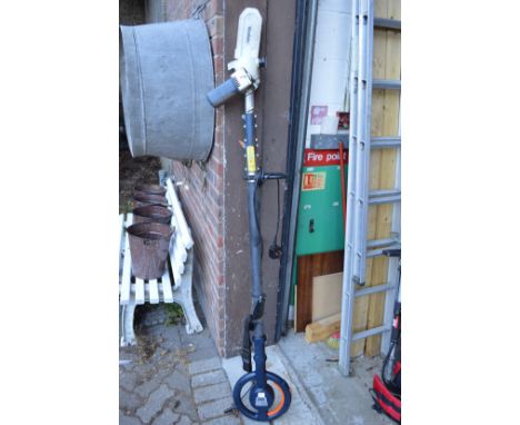 An electric long reach chainsaw.