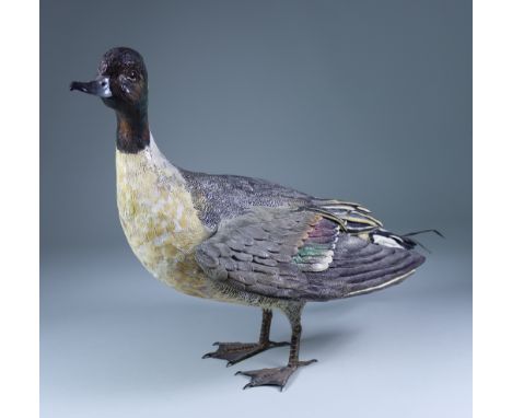 Sylvestrie (20th Century) - A French cold painted terracotta standing model of a mallard duck, 13ins high