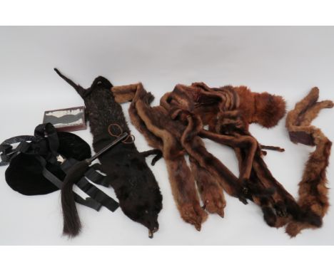 Selection of Vintage Fur Stoles, Collars, etc.A good selection appear to be in good condition. 