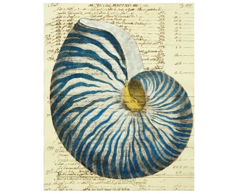 Hand Colored Engraving On 18th C Manuscript "Nautilus". Visible date of 1716 on manuscript. Measures 18-1/4" x 14-3/4", mat m