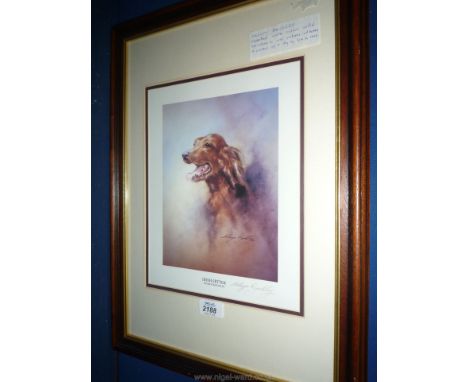 A Print of an Irish Setter after Melvyn Buckley. 
