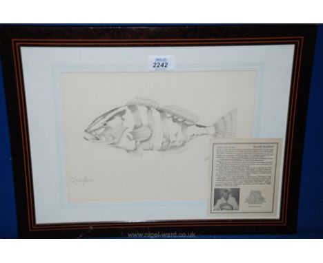 A Print of a Fish, after Elsie Wasile
