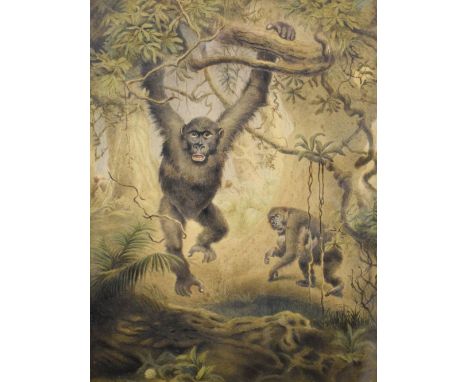 H. Garne - Watercolour - 'Who comes here?', being a study of two chimpanzees, 38.5cm x 29cm, in a gilt gesso frame   Conditio