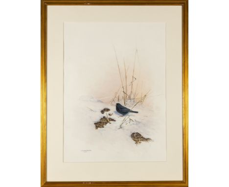 LANSDOWNE, J. FENWICKRare Birds of China. London: Kennedy Fine Arts, (1992). Copy 70 of 100, with each plate signed in pencil