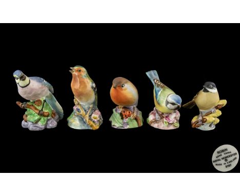 Royal Worcester - Superior Quality Hand Painted Porcelain Bird Figures ( 5 ) In Total. Comprises 1/ Blue Tit, Model No 3199. 