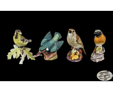 Royal Worcester Superior Quality Hand Painted Porcelain BIrd Figures of Larger Size ( 4 ) In Total. Comprises 1/ ' Thrush ' M