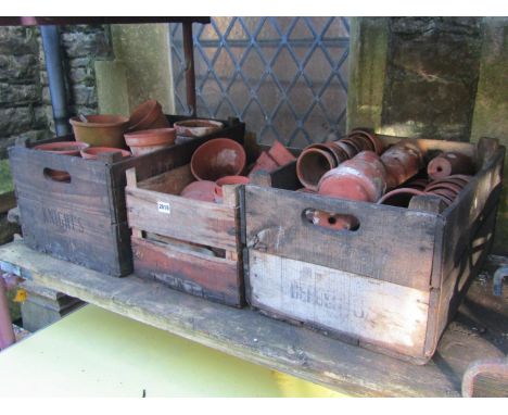 Three vintage wooden crates containing a quantity of terracotta flower pots of varying size approximately 100 or more 