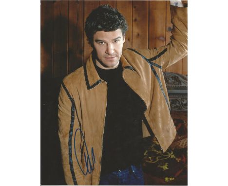 David Boreanz signed 10 x 8 colour Bones Photoshoot Portrait Photo, from in person collection autographed at New York 2014. G