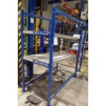 (2) Sections of Gravity Roller Racking