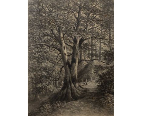 Edward Roper Stapleton Sandys (1845 - 1909)The Wishing Tree, signed, charcoal, 57 x 42.5cm NB. The work has previously been o