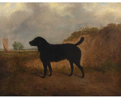 W*J* Gilbert (act.1830-1870)A retriever in a landscape, signed and dated 1858, oil on canvas, 47 x 61.5cmHas been cleaned and