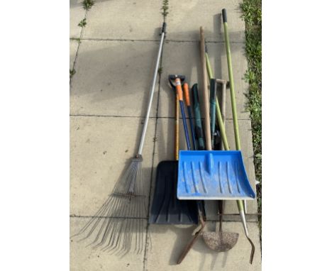 An assortment of garden tools