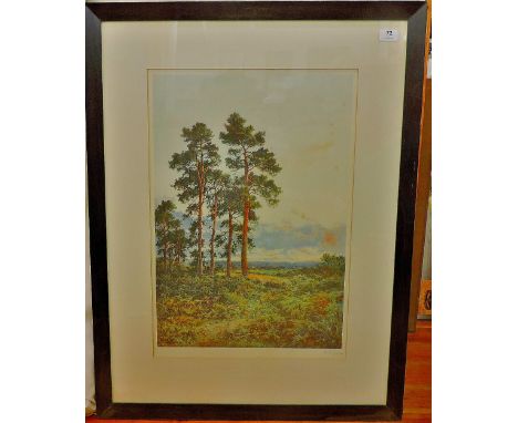 Leader,B.W-1915 signed print, conifers/heathland View,18"x26".