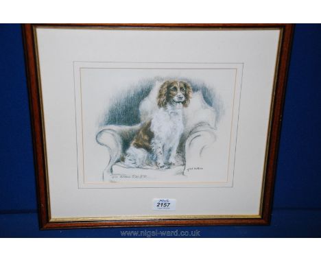 A framed limited edition Print of a Springer Spaniel by Gil Evans, no. 500/850.