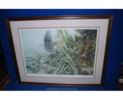 A framed and mounted limited edition Print 'Woodcock Rising', by Alan B. Hayman, no. 140/850.